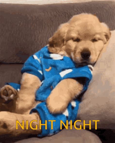 good night dog gif|Dog Goodnight GIFs .